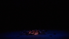 Photo de la saison saison 2021/2022